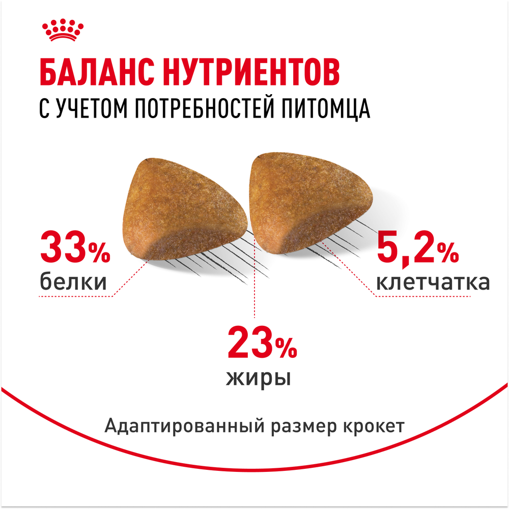 Royal Canin Sphynx Adult Сфинкс Эдалт Корм сухой сбалансированный для взрослых кошек породы Сфинкс от 12 месяцев 10кг