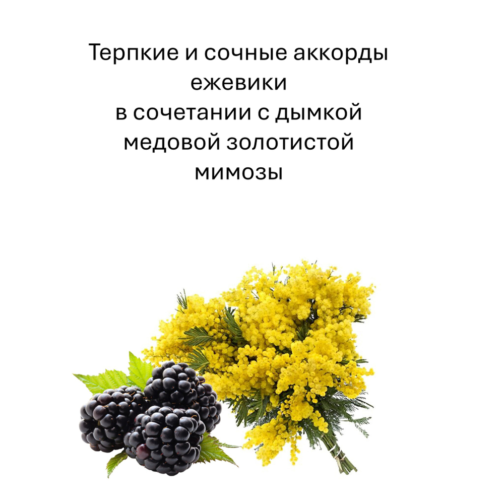 Ежевика и мимоза, кубики восковые для ароматизации, 10 штук