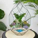 Готовый флорариум с суккулентами Цефей с озером