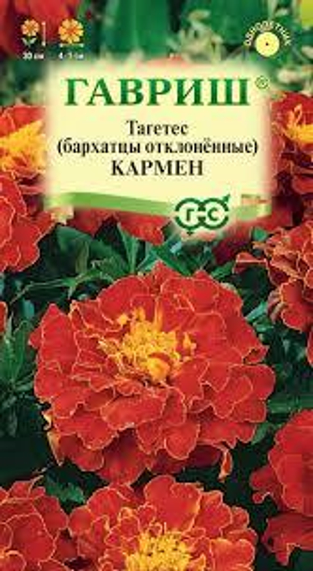 Бархатцы Кармен