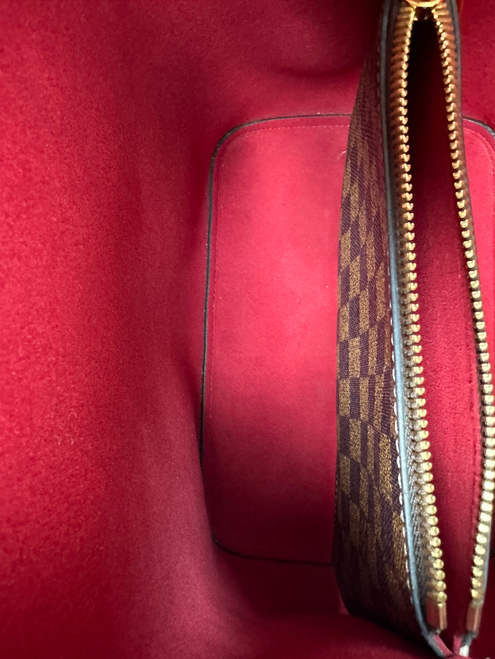 Сумка Louis Vuitton Damier Ebene MM Cherry Berry