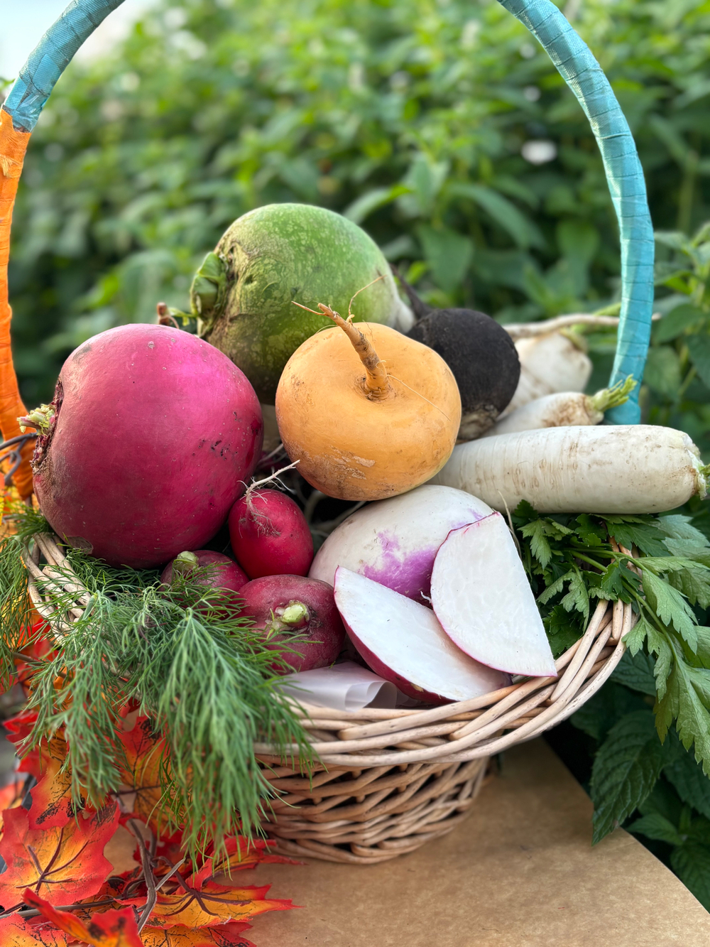 Репа / редька