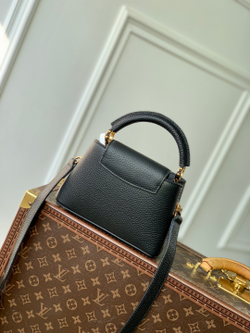 Louis Vuitton Capucines (3 sizes)