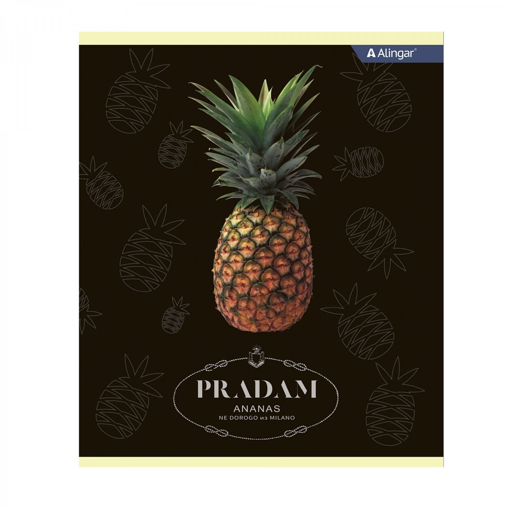 Тетрадь 48л., А5, клетка, Alingar "Enjoy every moment", скрепка, мелованный картон (стандарт), блок офсет, 4 дизайна в пленке т/у