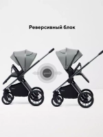 Коляска 2 в 1 Rant Falcon Therm