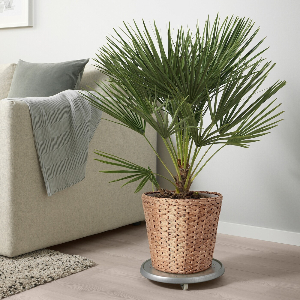 Горшок для растений IKEA FRIDFULL (ФРИДФУЛ), Водяной гиацинт, 24 см