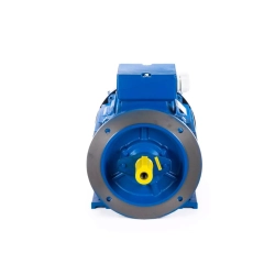 Электродвигатель ESQ 200 LB2-SDN- 37/3000 IMB35