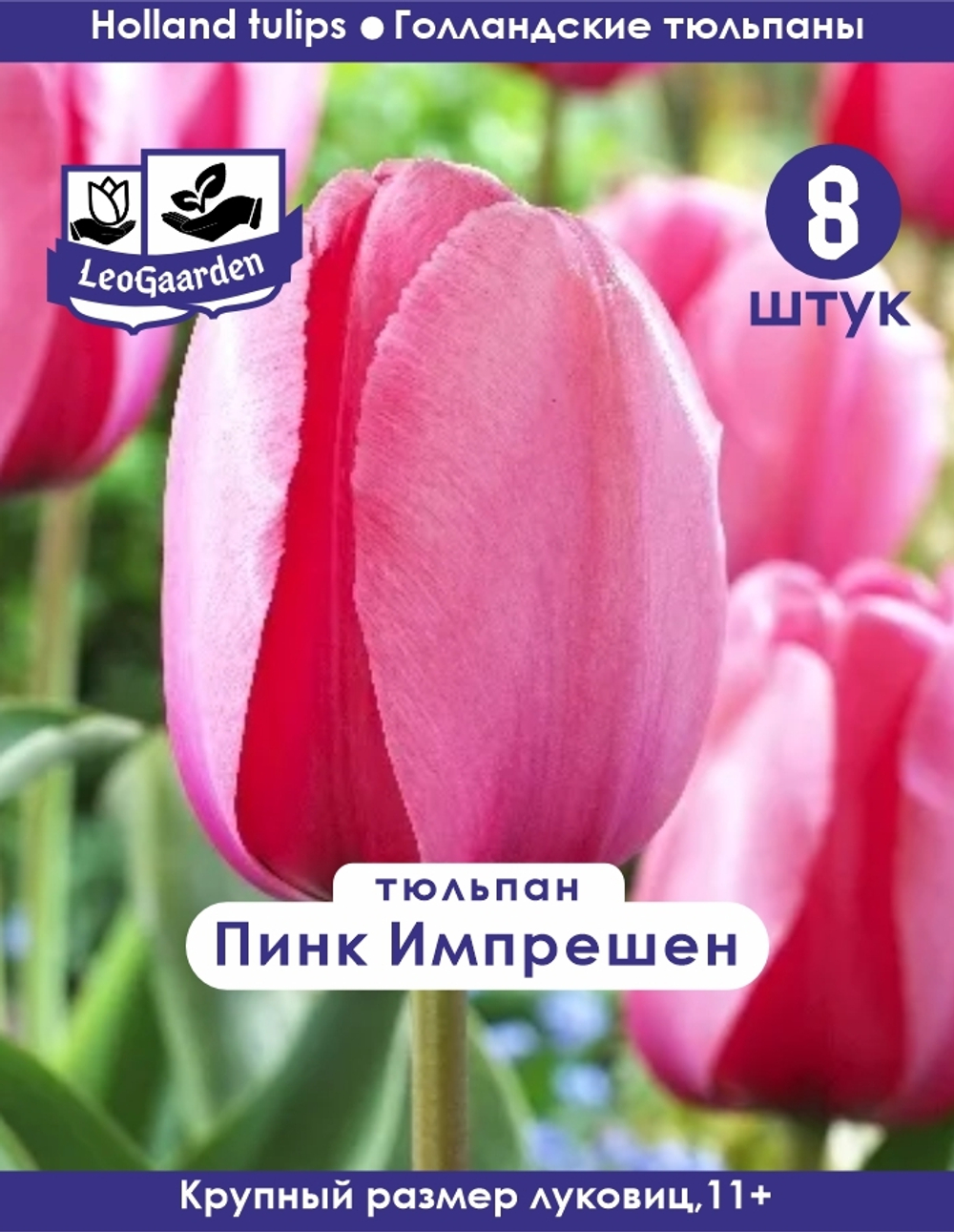 Тюльпан Луковица,Пинк Импрешен  8 шт, разбор 11+