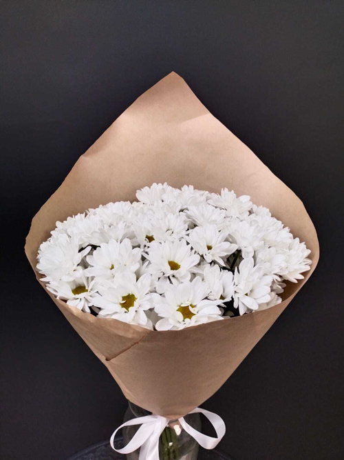 Хризантема  Ромашка