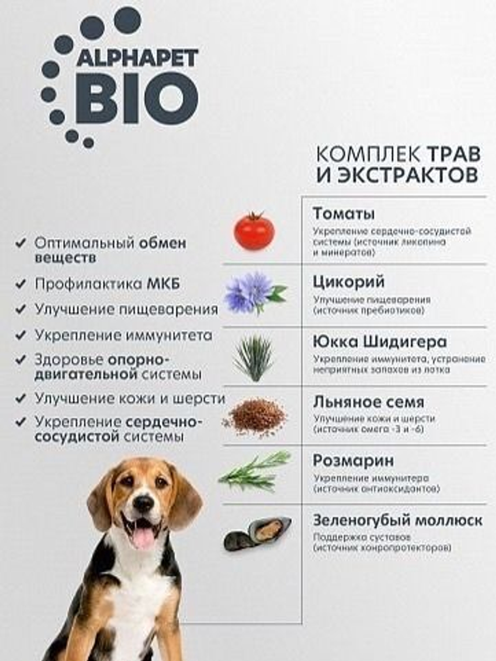 Корм для собак премиум сухой AlphaPet Superpremium для собак средних пород, с говядиной и потрошками, 2 кг