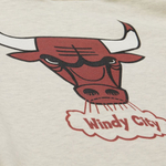 Баскетбольная толстовка Mitchell&Ness NBA Slammin Chicago Bulls Beige Sweatshirt