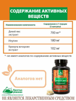 Концентрат ДИКИЙ ЯМС