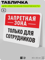 Табличка для обеспечения безопасности "Запретная зона, только для сотрудников", для офиса, по охране труда для предприятия, организаций, 40х30 см, Silver Plane x Айдентика Технолоджи