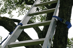 STABILO Приставная лестница 1х6