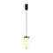 Подвесной светильник Freya Modern Iride FR5627PL-L8BBS