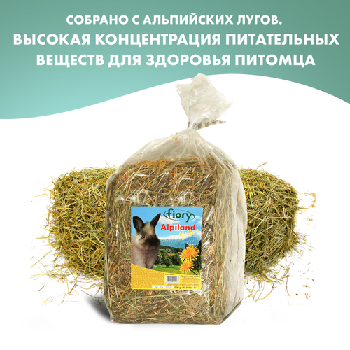 FIORY Alpiland Yellow сено Альпийское с одуванчиком 500 г