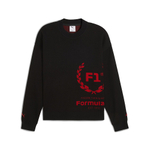 Мужской свитшот PUMA F1 Knitted Crewneck 75yrs