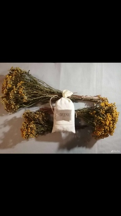 Пижма (пучек)