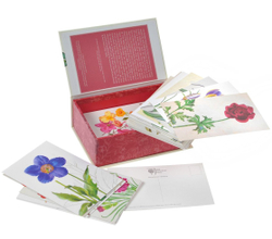 100 Flowers: One Hundred Postcards from the Royal Horticultural Society