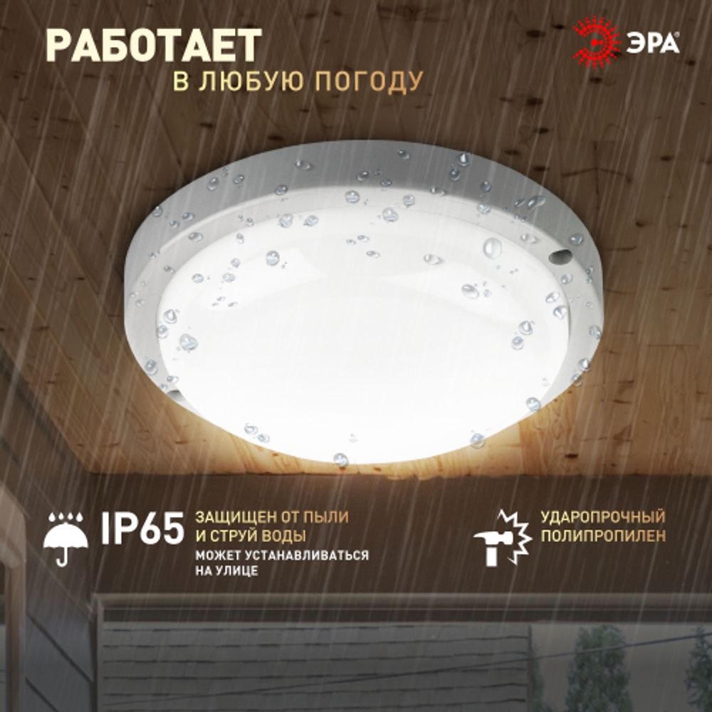 Светильник ЖКХ светодиодный ЭРА SPB-201-0-40K-012 IP65 12Вт 4000К D155 круг | Светильники для ЖКХ IP65