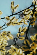 серьги минизавитки с эмалью