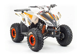 Квадроцикл MOTOLAND 125 Coyote (2021 Г.)
