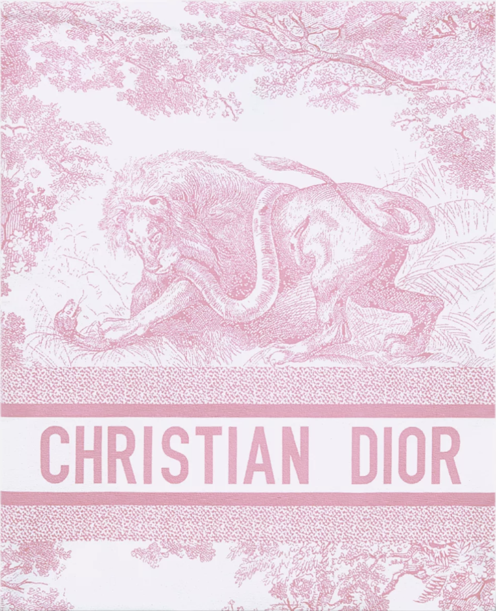 Сплошной купальник Dior Dioriviera Toile de Jouy Sauvage — бело-розовый, оригинал из Италии