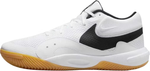 FN4678-100 Кроссовки NIKE HYPERQUICK