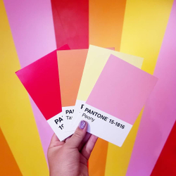 Pantone Postcard Box: 100 Postcards