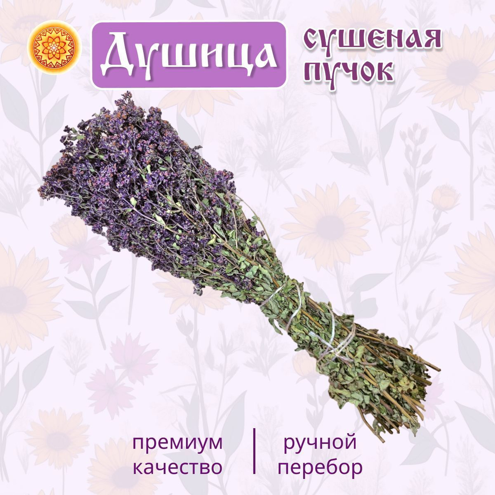 Душица, пучок.