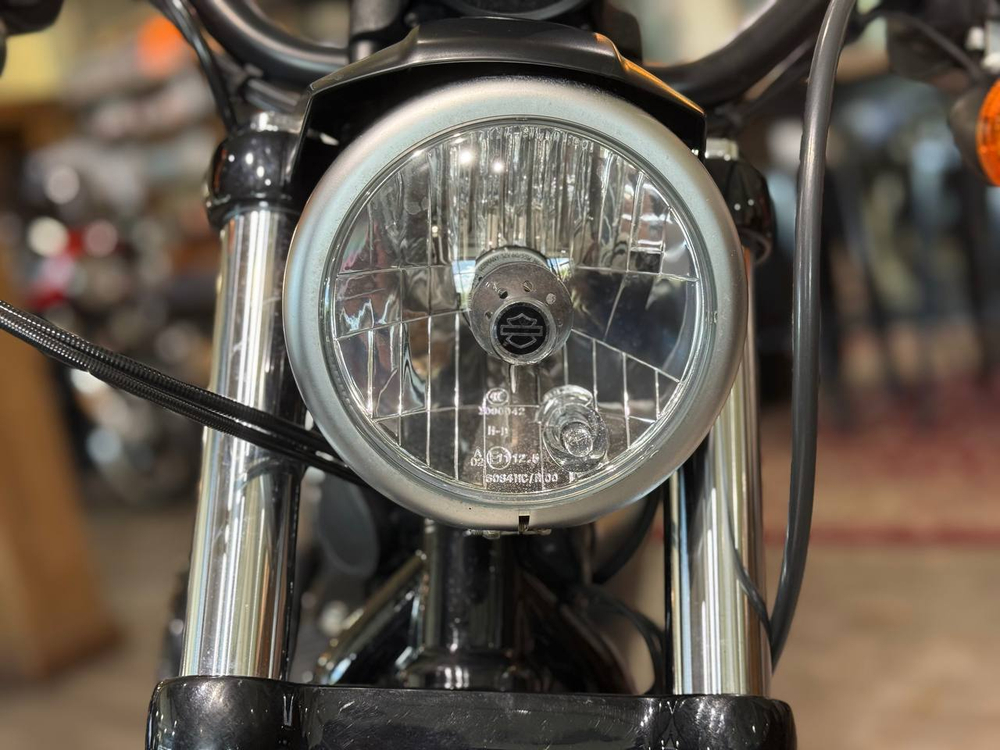 Harley-Davidson Sportster Iron 883 (XL883N) 2018