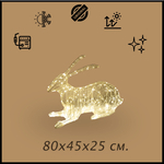 Заяц лежачий