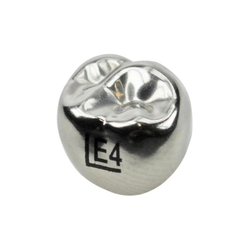 Второй верхний левый моляр, размер 4 (E-UL-4)