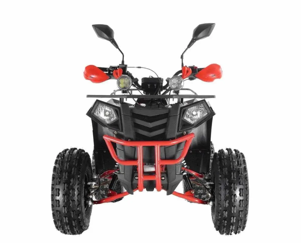 Квадроцикл Wels Thunder EVO X