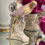 Попугай на ветке