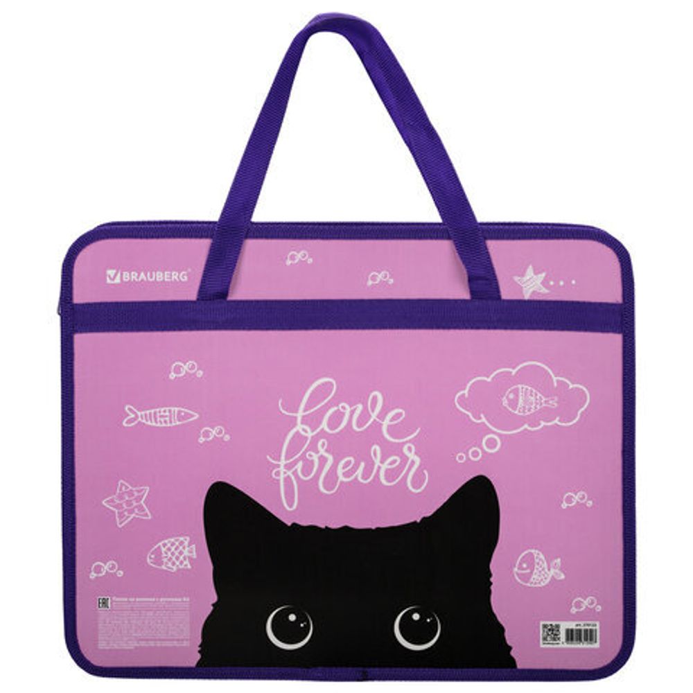 Папка на молнии с ручками BRAUBERG А4, 1 отделение, пластик, 80 мм, "Black Cat", 270122