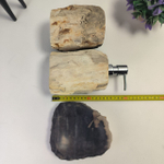 Набор из окаменелого дерева 4 предм Fossil Set NF-63063 поднос 33см*38см