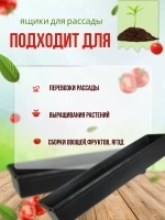Ящик под рассаду Садовит №2 60х14.5х9см *10шт