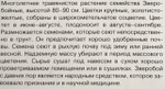 Зверобой Солнечный продырявленный 0,1 г
