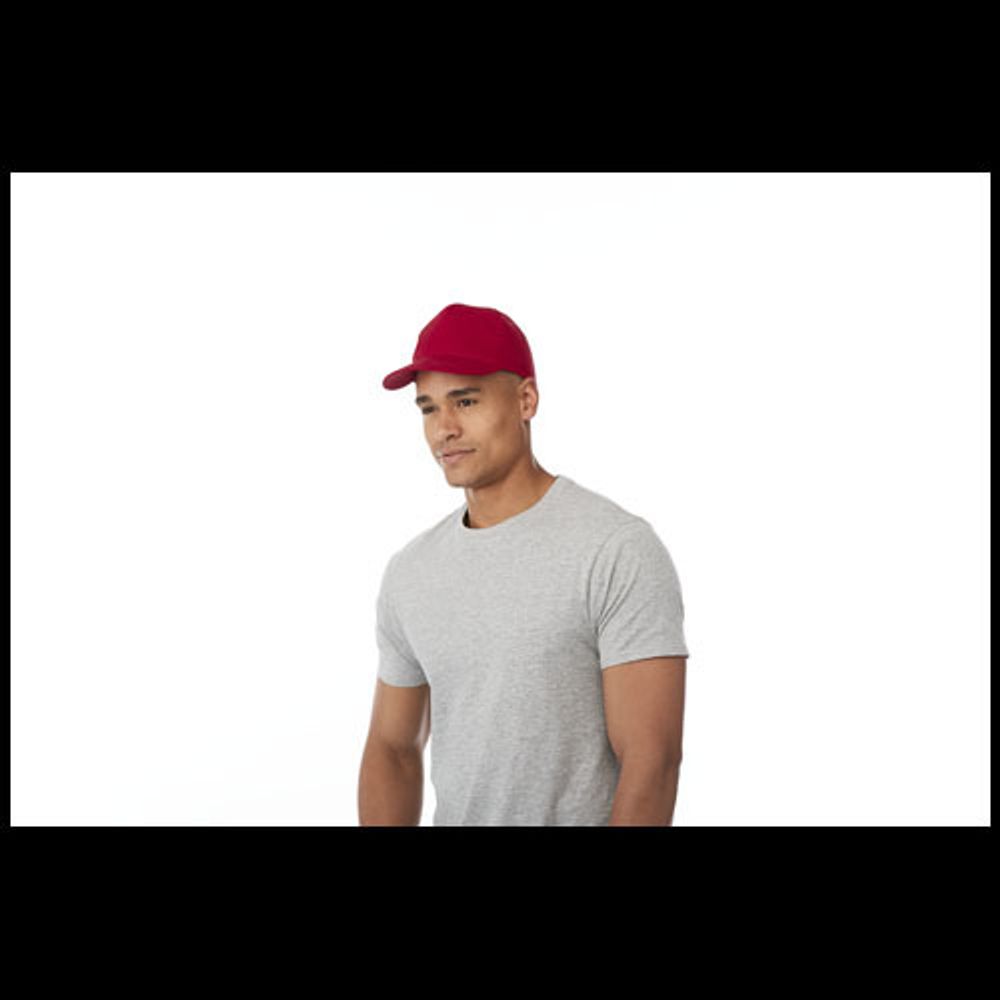 Пятипанельная кепка Hades