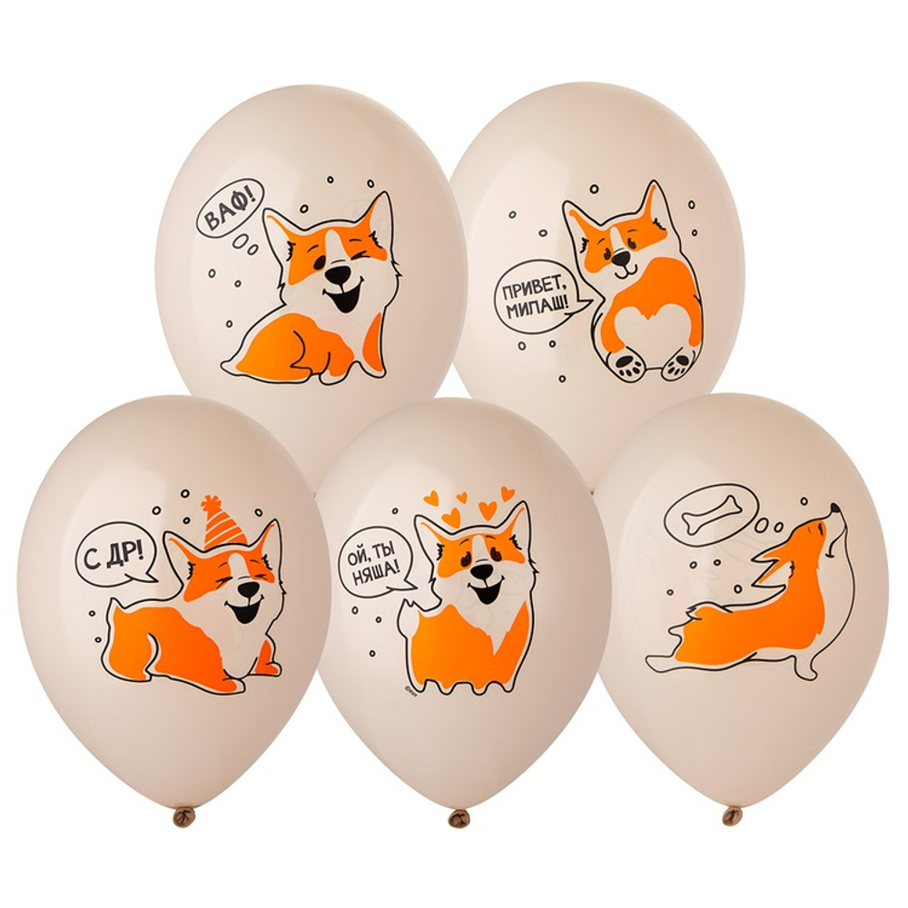 Шар латексный 35см С ДР! Корги (Бежевый)