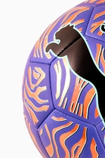 Футбольный мяч Puma Neymar Jr Graphic ball размер 5