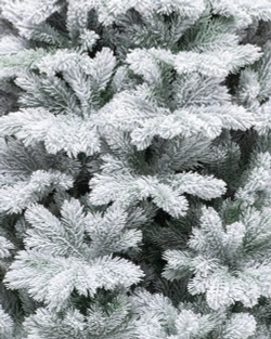 Искусственная елка Суздальская заснеженная 150 см., 100% Литая хвоя, ЕлкиТорг (273150)