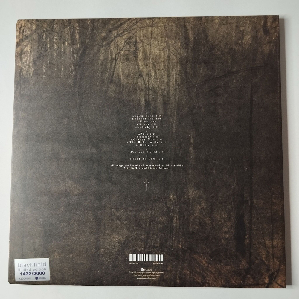 Винтажная виниловая пластинка LP Blackfield (UK 2011) Limited Edition