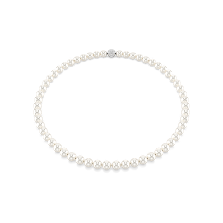 MATRIX:ALL ARD PRL MAGNET WHI/RHS