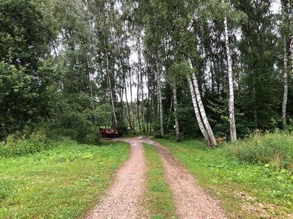 Контейнерная площадка в юго-восточной части «Романовского Парка» будет благоустроена в ближайшее время