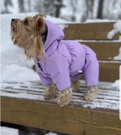 Зимний комбинезон для собак с капюшоном (девочка)