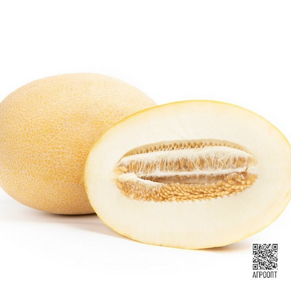 Тагбо F1 семена дыни (Rijk Zwaan / Райк Цваан) в разрезе – фото 2