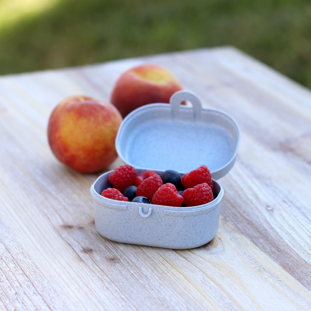 Ланч-бокс pascal, organic, 9,7х5,2х7 см, синий