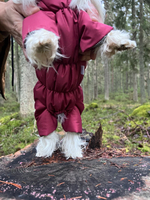 Зимний комбинезон для собак (девочка)